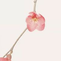 2022年7月19日五行穿衣最佳幸运色解析