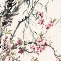 清明节提车有忌讳吗? 此节日拔河寓意积极向上