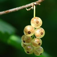 苏珊米勒周星座财富（3.21-3.27）