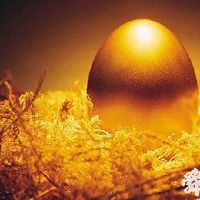 金融培训中心起名大全