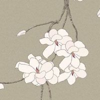 1414车牌号码好吗 寓意顺利大发的车牌号