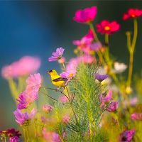 2022年6月20日提案是一个美好的一天吗？