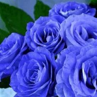 结婚新婚铺床口诀 结婚铺床顺口溜