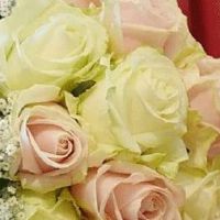 结婚铺床四句好话 现代结婚铺床祝福语