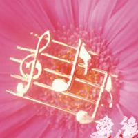 温柔的歌曲大全100首