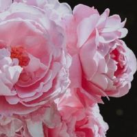 老黄历查询:2022年农历六月二十八是不是结婚嫁娶吉日