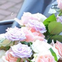 吉日查询:2022年6月30日是结婚好日子吗