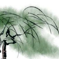 简单又有创意的女装店名两个字 大气好听开店名字