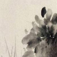 童装店名字大全 创意有人气店铺起名