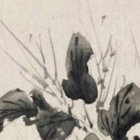 女鞋店名字大全潮流时尚 聚财好听店铺取名推荐