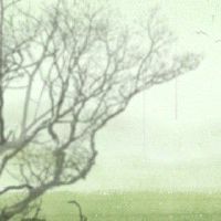 谷雨养生食谱 吃新鲜蔬菜补充营养