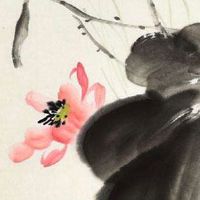 高端医院名字2022分享 精选医院好名的推荐