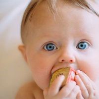 鼠年的女宝宝名字