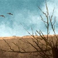 2022年，八冈的八个角色将是光滑的。