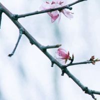 日子查询:2022年6月30日搬家好吗 这天可以乔迁新居吗