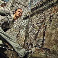 它适合在生活中养鱼吗？