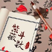 哪些紫色总体的派别最准确