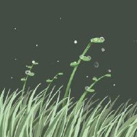 在2022年，白色露水是当天的温度变化的频率如何