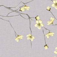 车牌号01开头代表 01开头的吉利车牌好