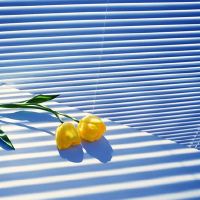 湾仔！最高价值，最佳气质，最大的星座，在哪里得到闪点