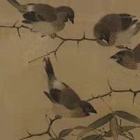 水命女孩有什么特征 成熟稳重人缘好