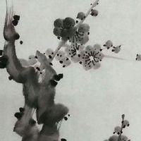 热门私人诊所名字大全 精选个性好名字大全