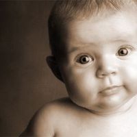 书生意气般文雅的男孩名