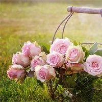 我可以在2022年7月13日提交婚姻吗？这是ji日本提案吗？