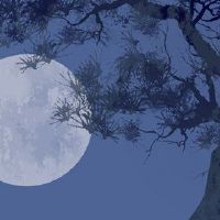 你属于心理小型测试的糖是什么？