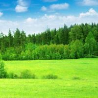 它将如何影响风的外壳？