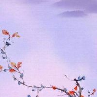 女装店名字推荐不要钱 吸引人店铺名字推荐