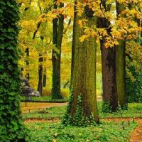 海海的八个字符命运如何