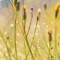 下午出生的人的八个字符命运如何？