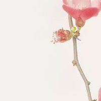 2022年7月21日五行穿衣旺运势的幸运色查询