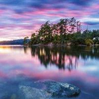 山上有一条鱼吗？