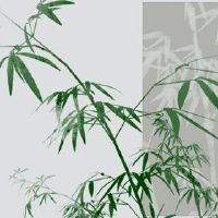 今天的财富之神在2023年5月3日询问，寻求最好的职位