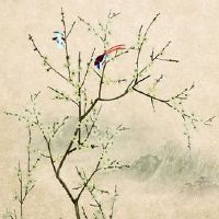 虎年本命年办公室风水 花开画作有利于增运