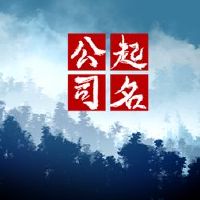 建议使用2022年公司名称