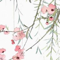 谷雨时节农民做什么农事活动 大田播种五谷丰登