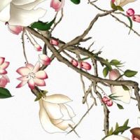 男人的十种贫穷面相 瘦而无神、弓腰驼背