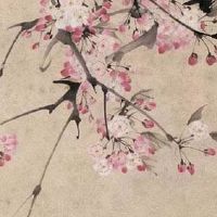 86年属虎二婚会在哪一年 生肖虎婚配宜忌