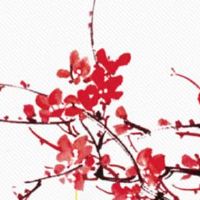 2022年7月24日五行看穿衣,今日穿衣幸运色盘点