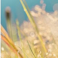 真实的生活是什么？