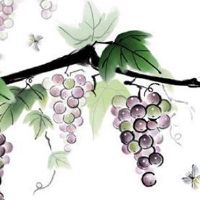 2022年5月生孩子黄道吉日 生产好日子查询