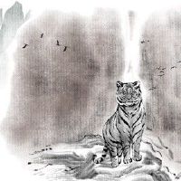 生肖虎2022本命年学业如何 不断增添自身信心