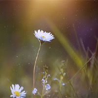 2022年7月14日适合剪切？