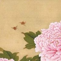 易经中数字1到9的含义 易经理论看数字吉凶