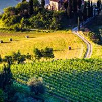 由八个部落正式印刷的妇女可以是官员？