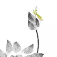 新娘回门要什么人去接 新娘兄弟姐妹最适合