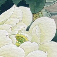 上等命的出生时辰 男孩什么时辰出生最好